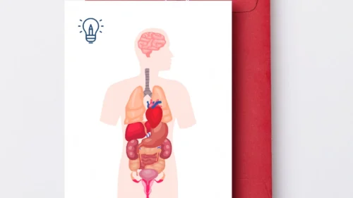 Prepodavame.bg_4kl_CHP_PBO Misiq zdravoslovna chiniq_RL - Vizualizaciq choveskoto tqlo kum urok 1
