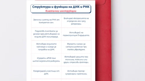 Prepodavame.bg_9kl_BIO_PBO-DNK-RNK-garantirano-dobra-kombinaciya_RL-Struktura-i-funkcii-na-DNK-i-RNK-kletuchni-instrukcii