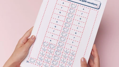 Prepodavame.bg_9kl_BIO_PBO-DNK-RNK-garantirano-dobra-kombinaciya_RL-Suzdavane-na-3D-model-DNK-molekula