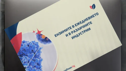 Prepodavame.bg_9kl_BIO_PBO-Katalitichni-reaktsii_RL-Enzimite-v-ejednevieto