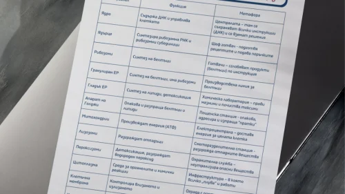 Prepodavame.bg_9kl_BIO_PBO Kletachni organeli-nevidimite geroi na kletachnata aktivnost_RL - List s primerni metafori