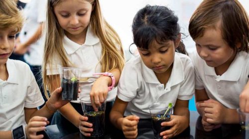 STEM процесът, през който учениците преминават