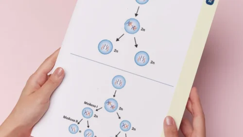 Thumbnail_Urok_16_Bio_10kl