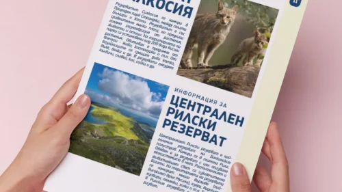 Thumbnail_Urok_8_ChO_4kl