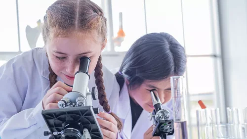 Website Thumbnail (19)