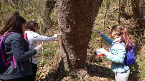 Website Thumbnail (30)