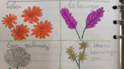 Website Thumbnail (39)