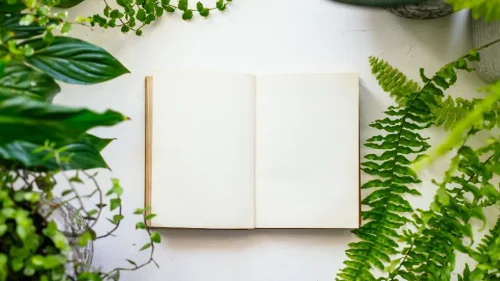 Website Thumbnail (50)