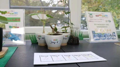 Website Thumbnail (51)