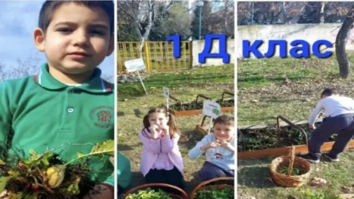 Website Thumbnail (6) (1)