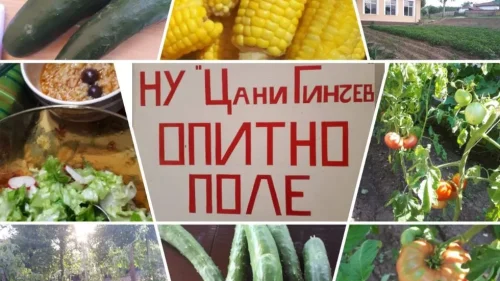 Website Thumbnail (6)