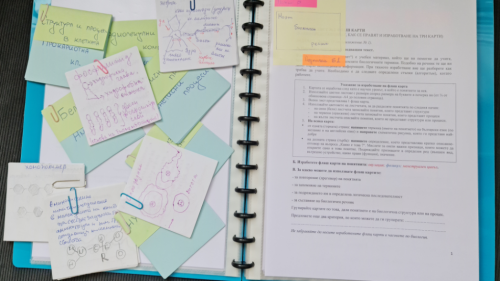 Website-Thumbnail-_26_