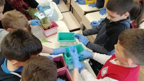 Website Thumbneil 2 (12)