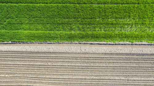 Website Thumbneil 2 (13)