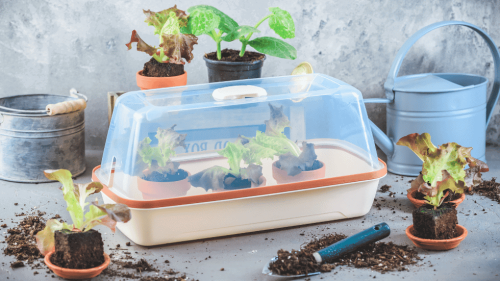 Website Thumbneil 2(5)