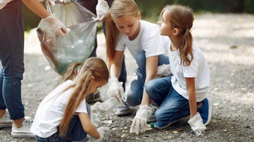 Доброволчество