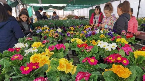 ОУ “Васил Левски“, гр. Враца