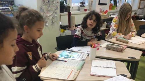 lichen raboten dnevnik