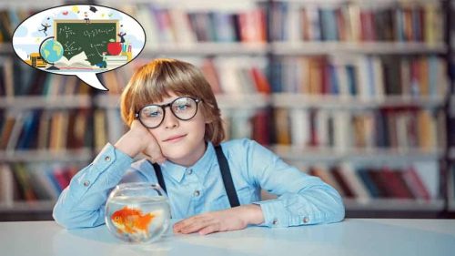 Мечтаното училище