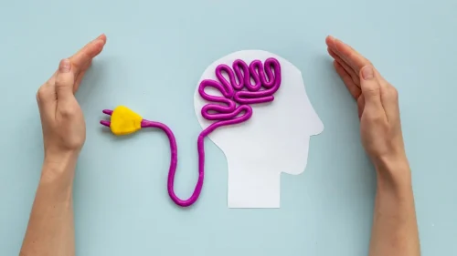 pu Website Thumbnail