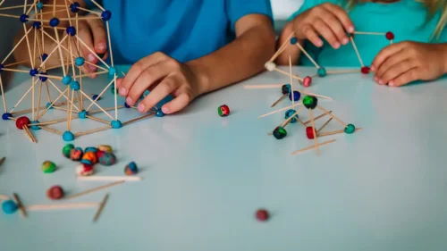 stem kanada bez logo (1)