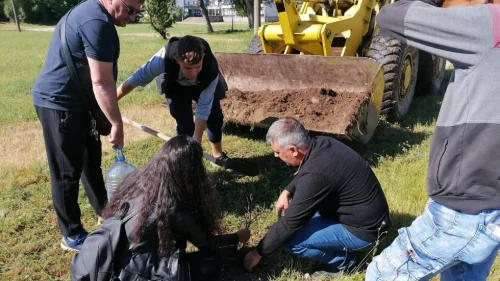 vi Website Thumbnail